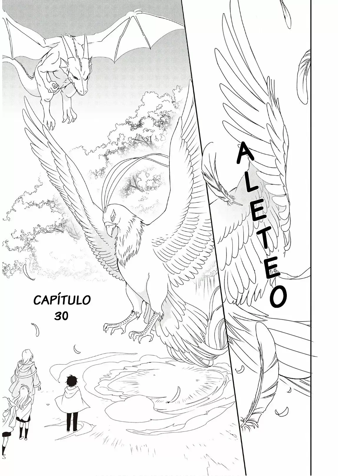 Capitulo 30 page 2