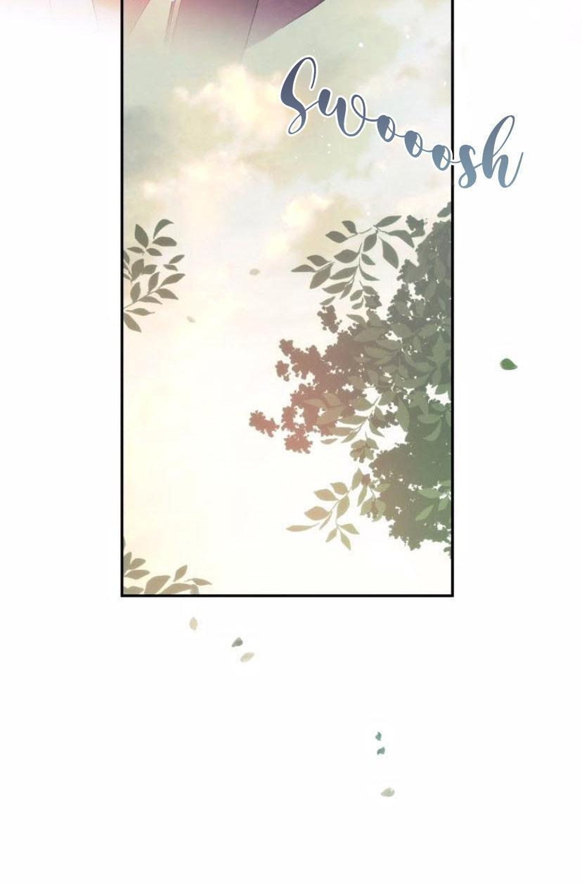 Capitulo 3 page 81