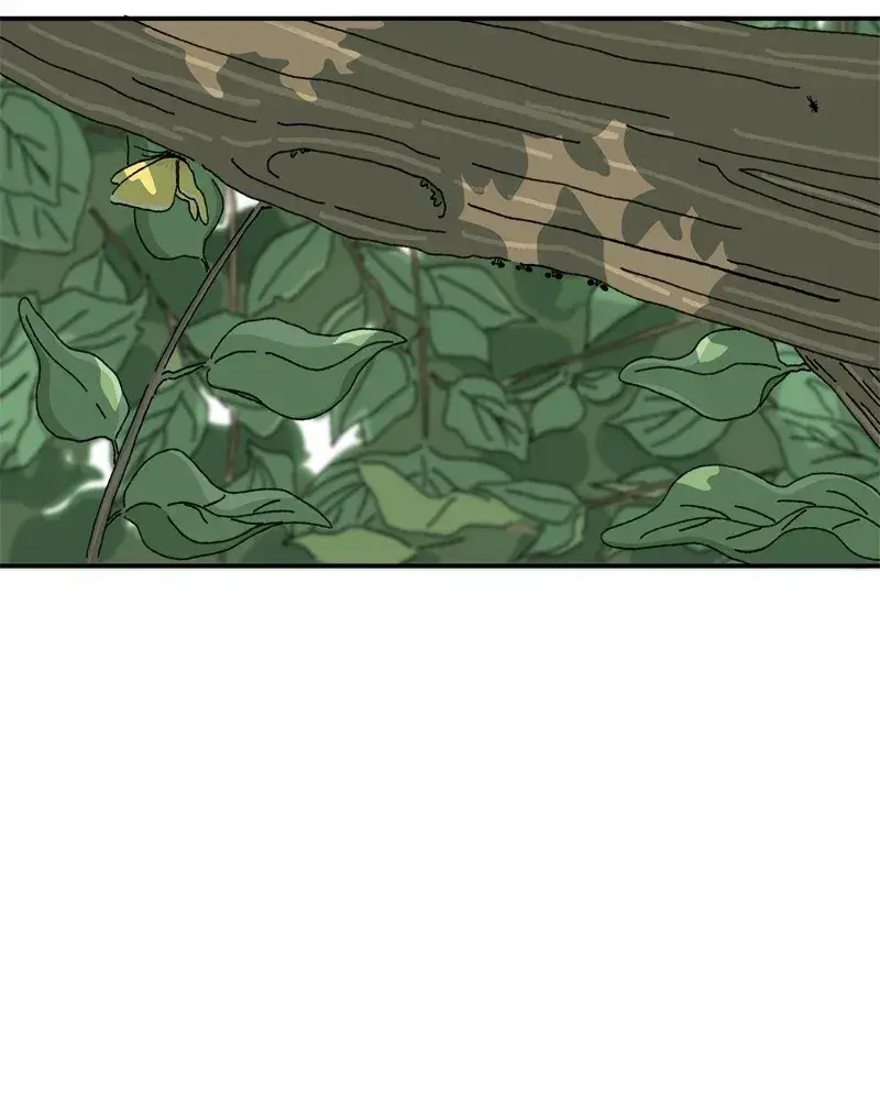 Capitulo 2 page 36