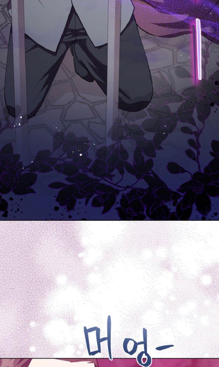 Capitulo 4 page 62