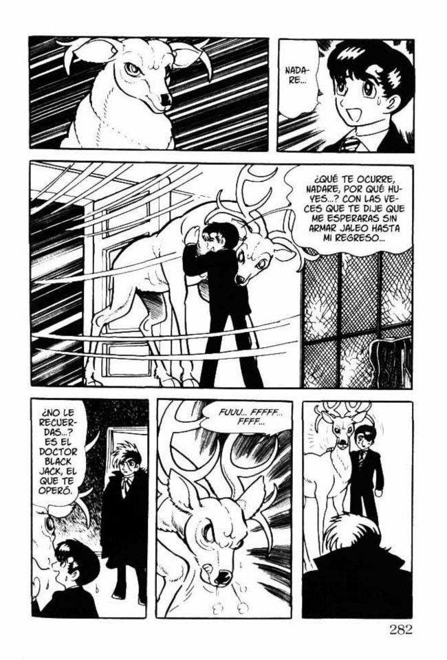 Capitulo 11 page 22