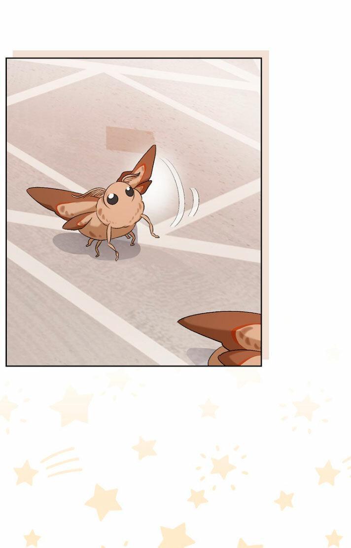 Capitulo 6 page 39