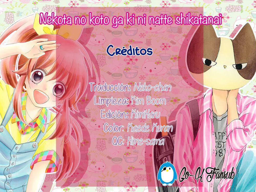 Capitulo 13 page 3