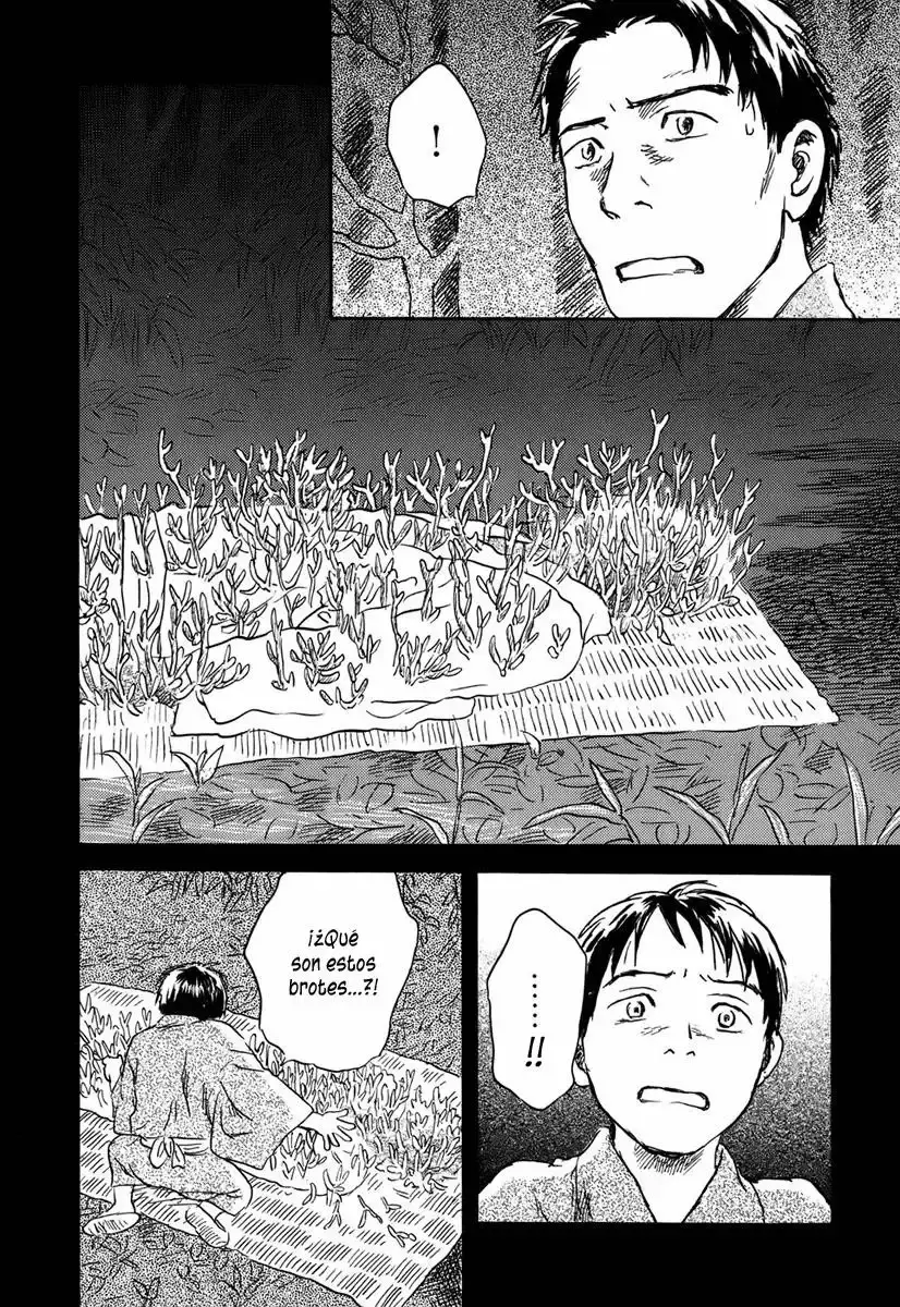 Capitulo 40 page 14