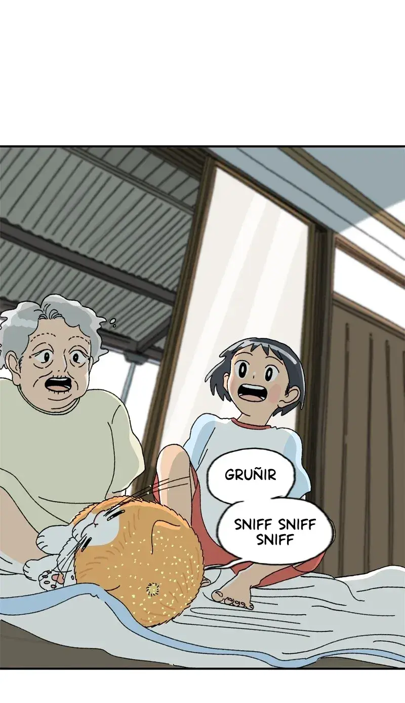 Capitulo 2 page 70
