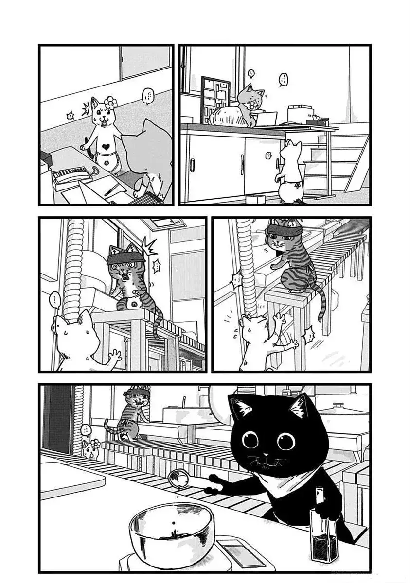 Capitulo 11 page 14