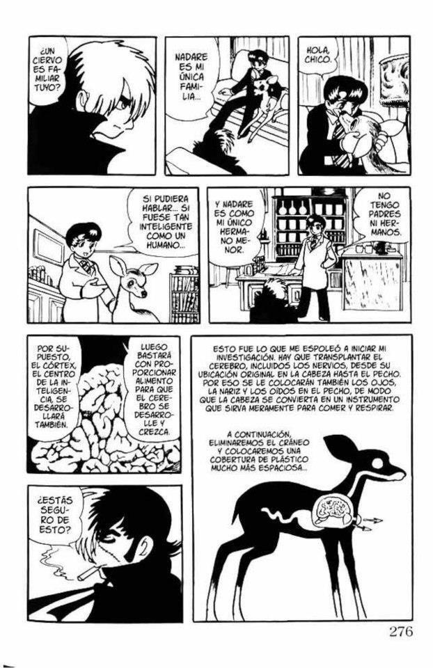 Capitulo 11 page 16