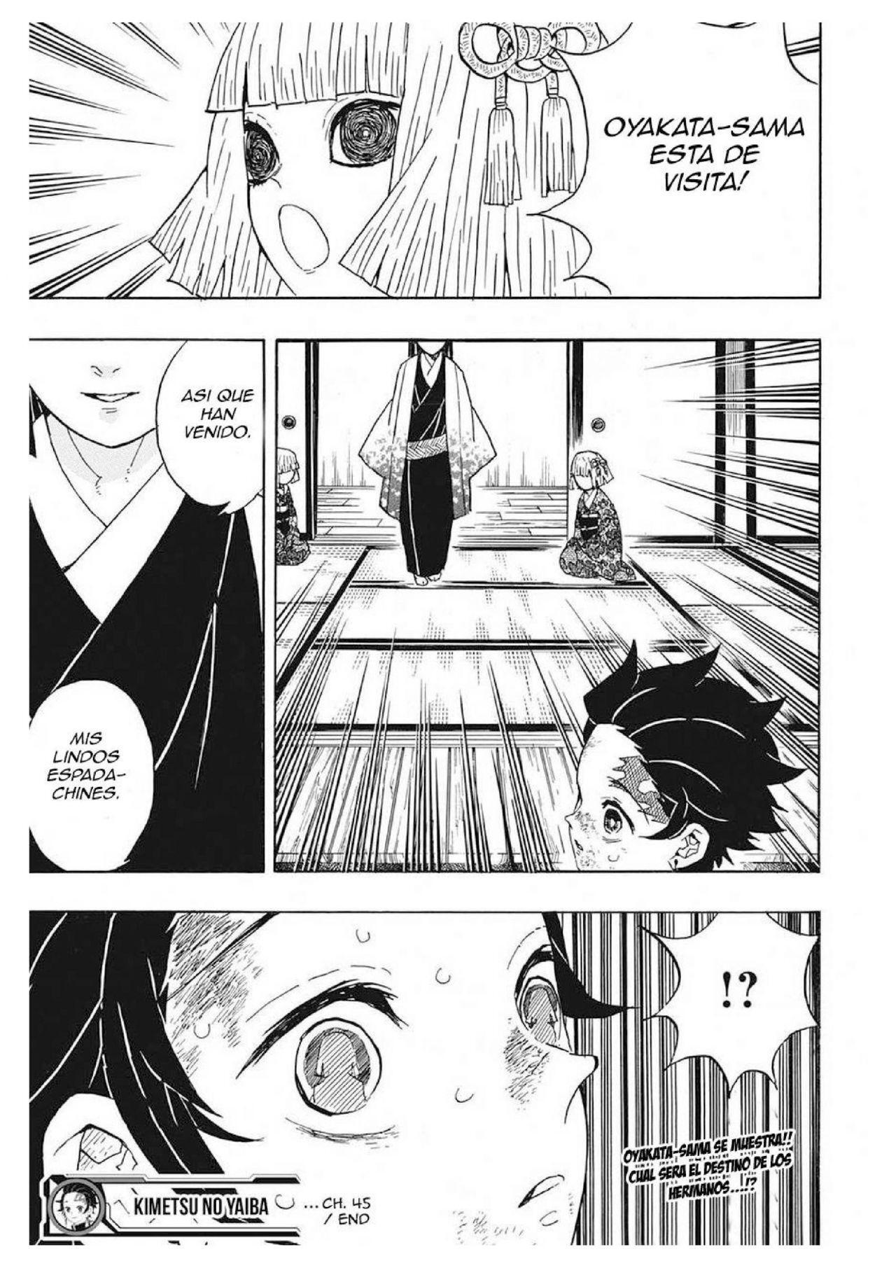 Capitulo 45 page 22