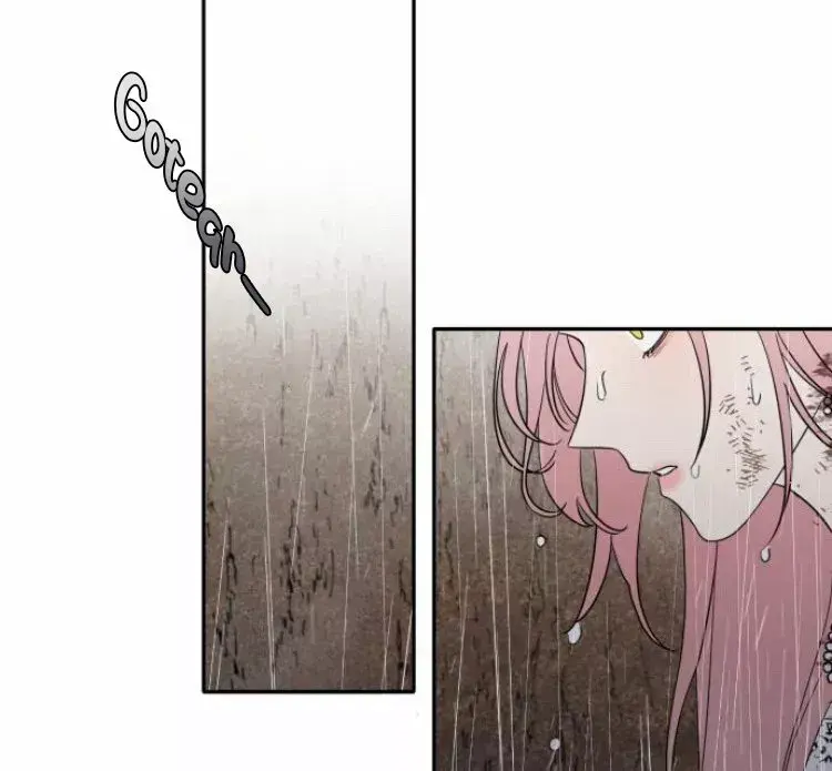 Capitulo 3 page 19