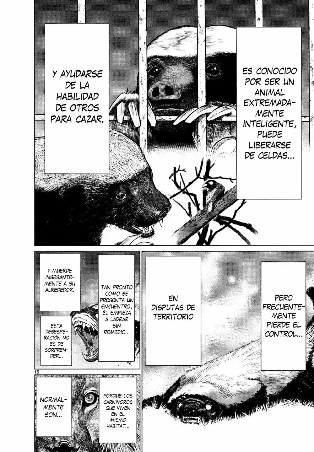 Capitulo 26 page 16