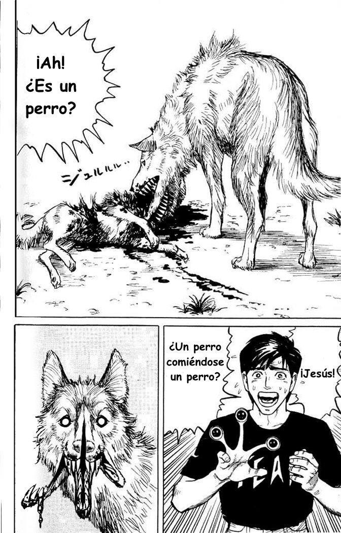 Capitulo 2 page 31