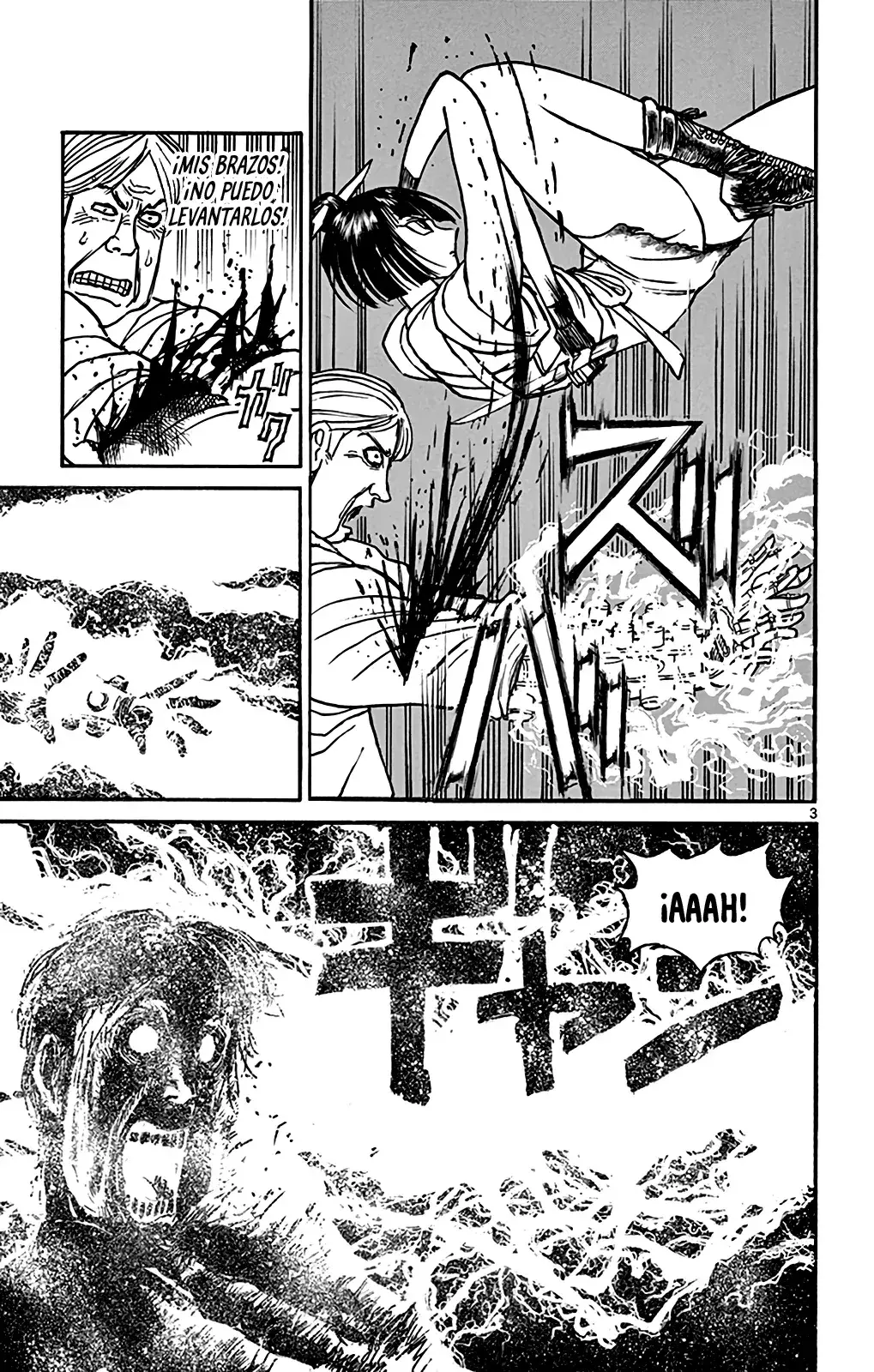 Capitulo 33 page 3