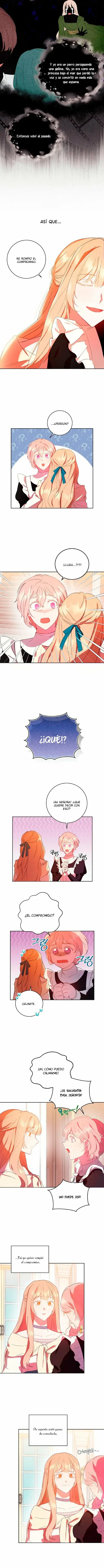 Capitulo 2 page 6