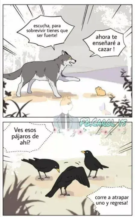 Capitulo 3 page 5