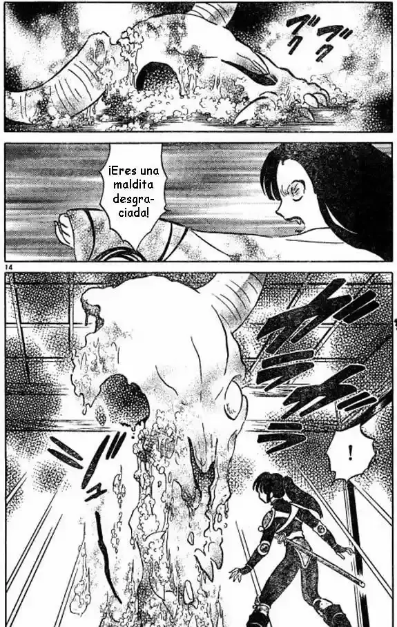 Capitulo 488 page 14