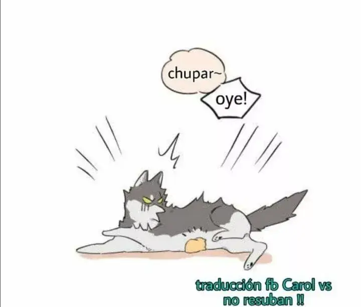 Capitulo 3 page 13