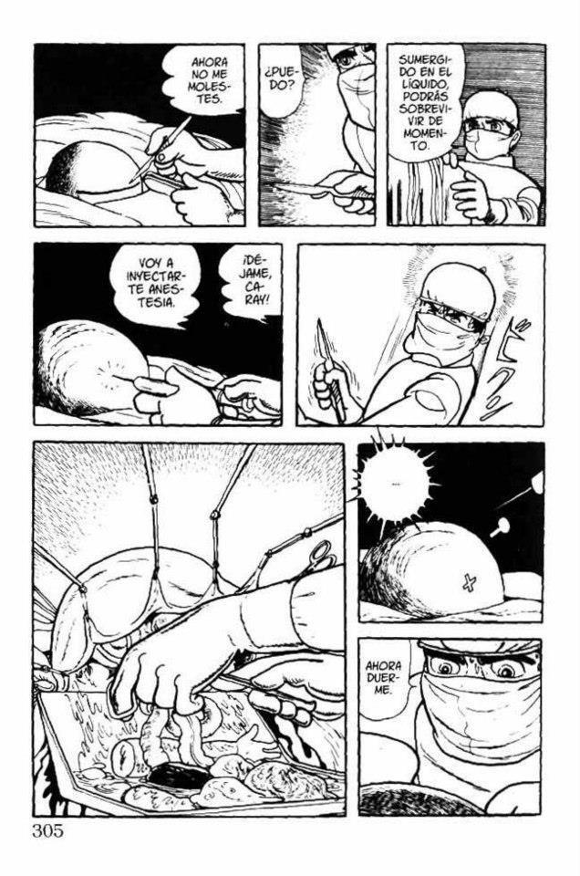 Capitulo 12 page 13