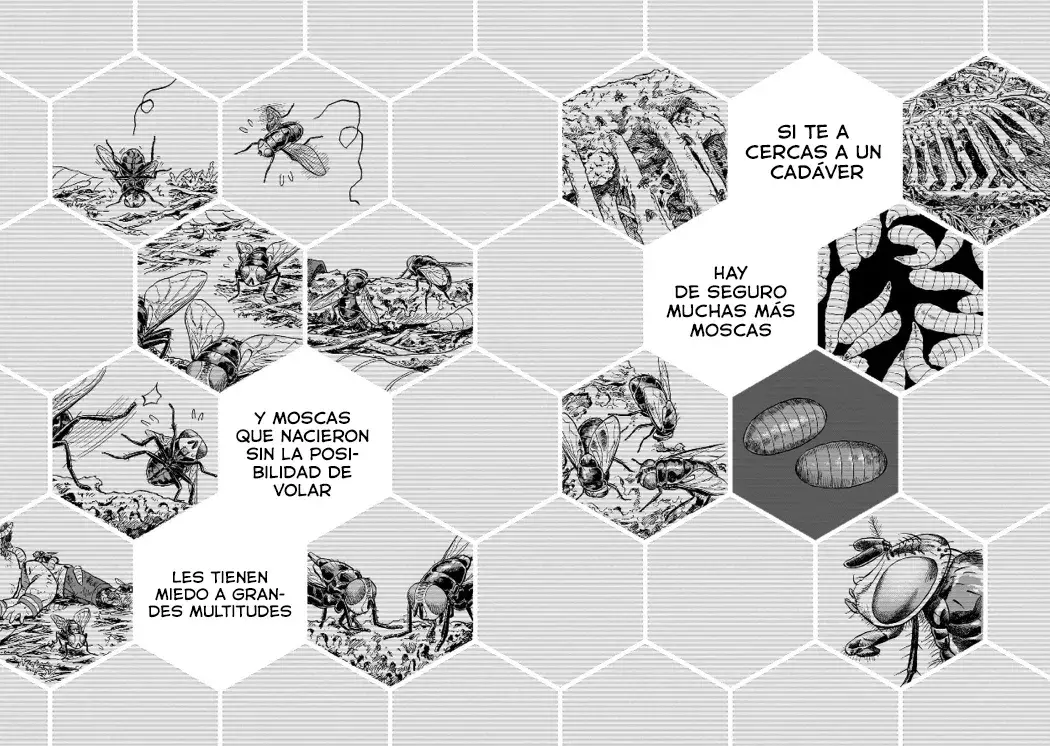Capitulo 16 page 22