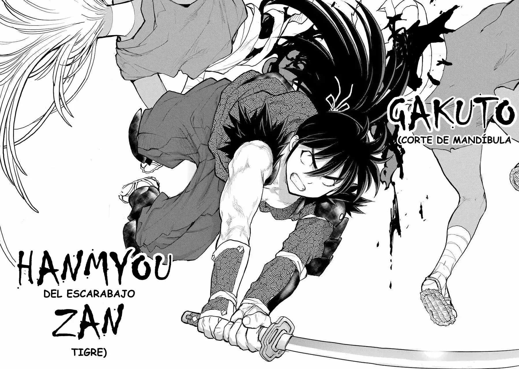 Capitulo 17 page 34