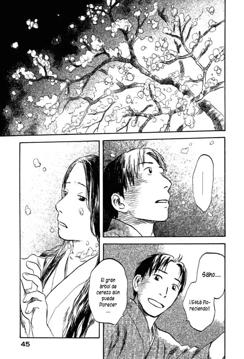 Capitulo 31 page 45