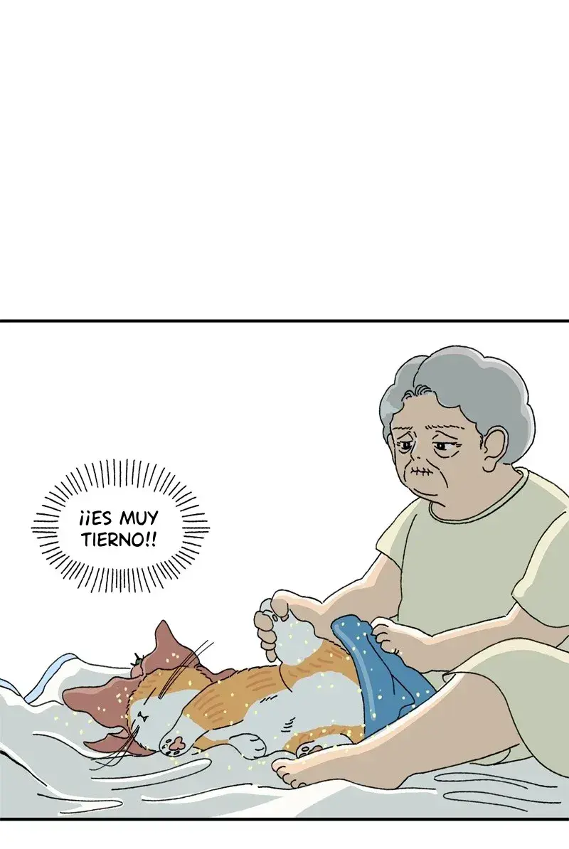 Capitulo 2 page 52