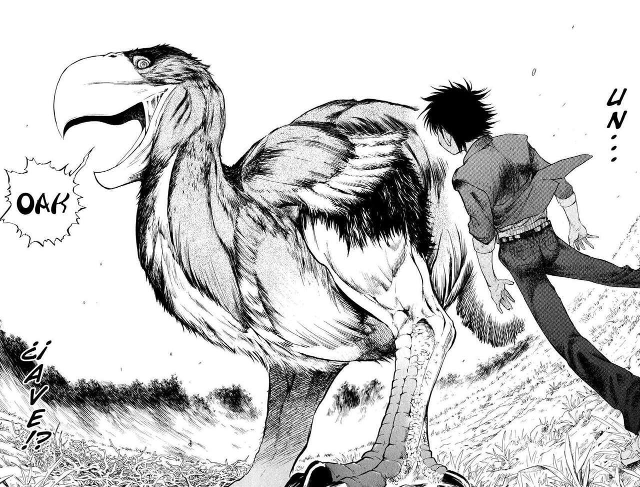 Capitulo 1 page 47
