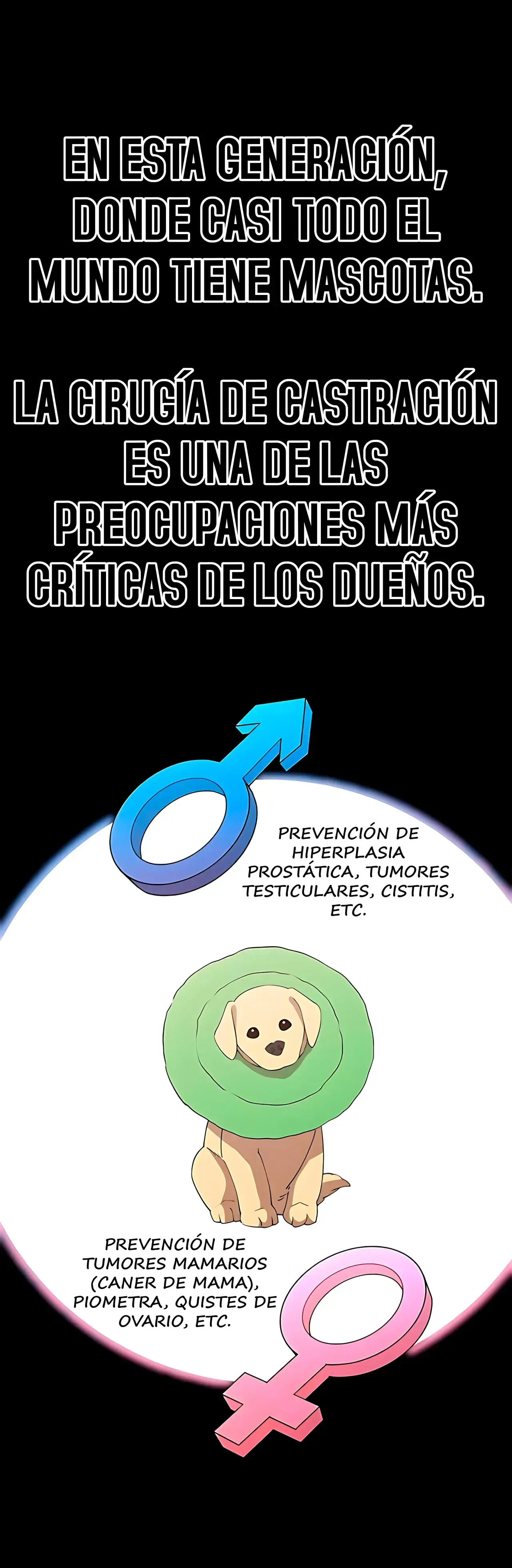 Capitulo 15 page 2