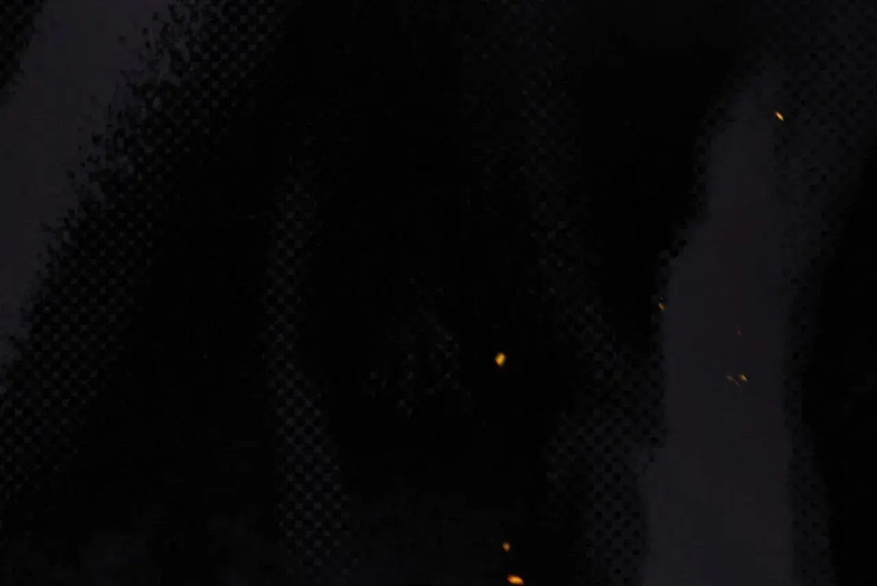 Capitulo 7 page 101