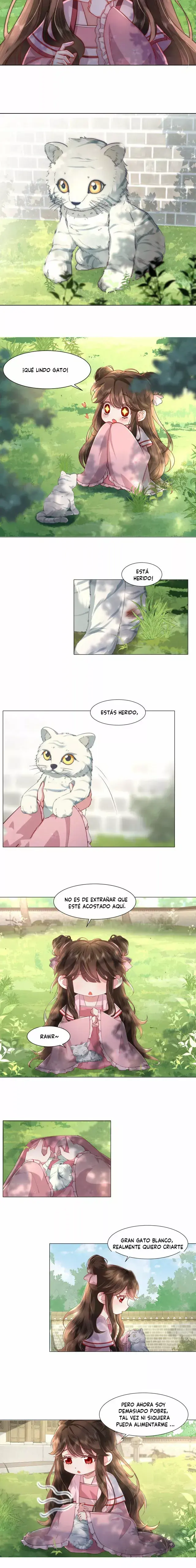 Capitulo 2 page 6