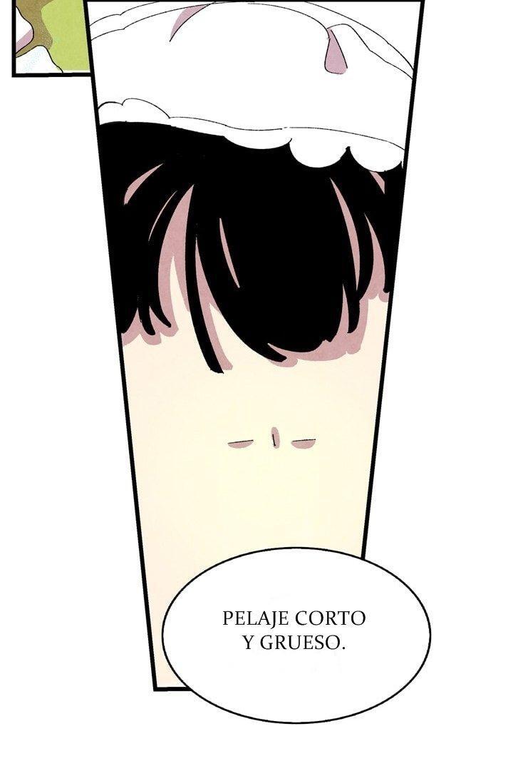 Capitulo 2 page 6